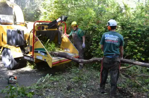 tree services North Lauderdale